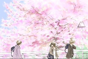 黄网浏览器免费版